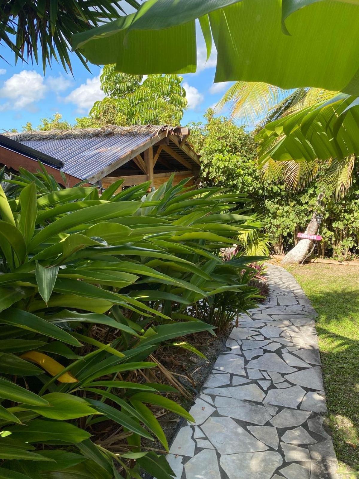Villa Ti Bwa Carbet Cosy Semi-Exterieur Avec Toit Terrasse Sainte-Anne  Esterno foto
